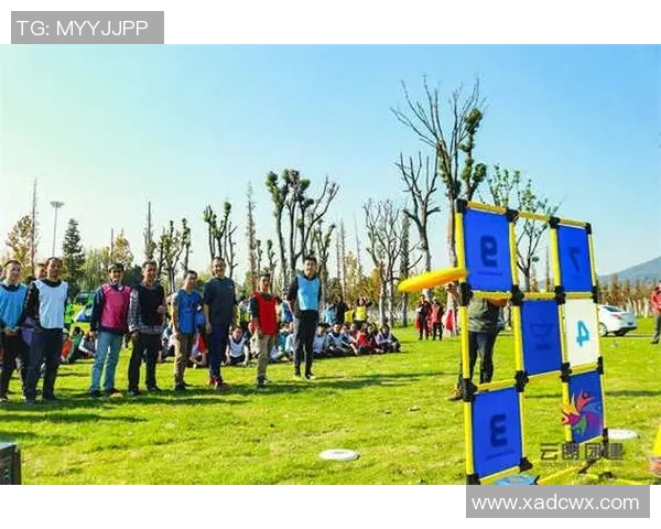 南京飞盘队团队协作的深度探讨与实践经验分享