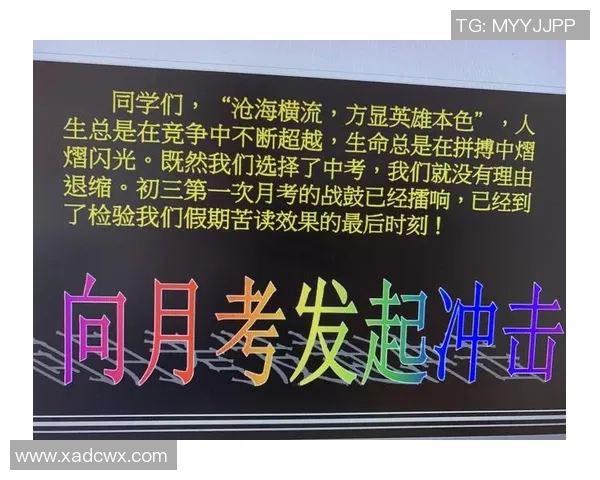 成都极限运动队的突破之路与激情挑战的真实记录