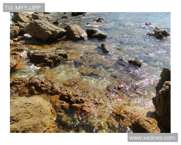 深圳攀岩队边路渗透战术分析与成败经验总结 深圳攀岩队边路渗透战术分析与成败经验总结