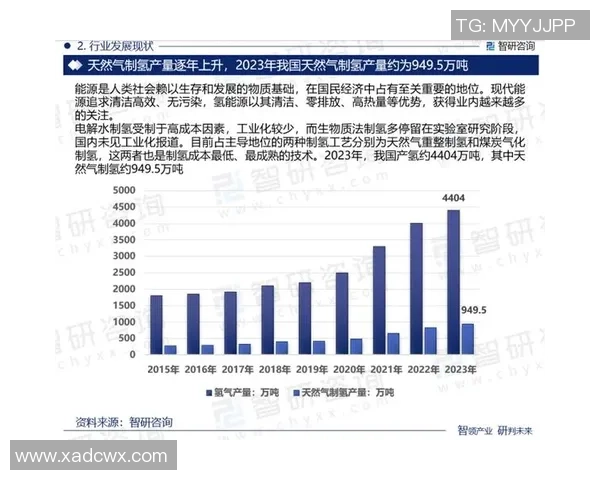 独家深度解析全球LNG市场竞争格局与实力对比分析 独家深度解析全球LNG市场竞争格局与实力对比分析