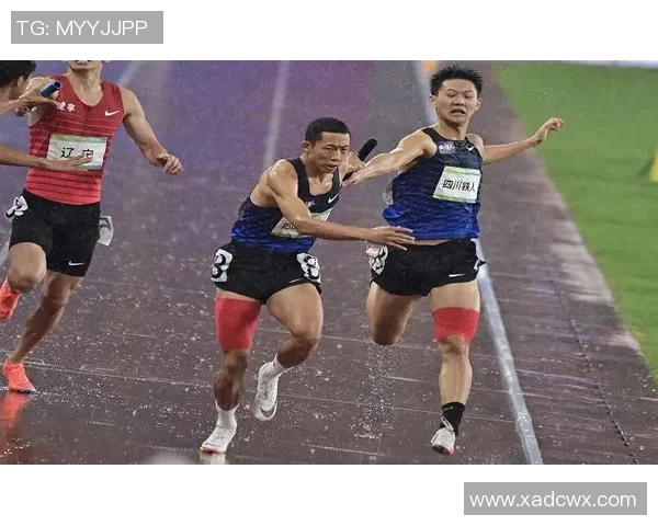 与杨磊畅谈攀岩生涯的挑战与成长之路